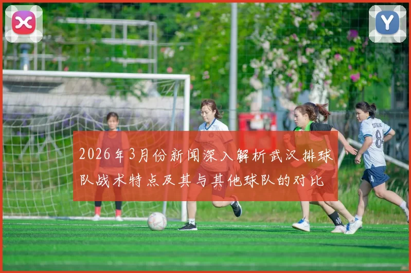 2026年3月份新闻深入解析武汉排球队战术特点及其与其他球队的对比分析
