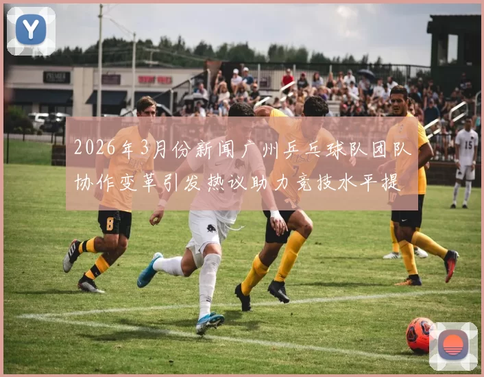 2026年3月份新闻广州乒乓球队团队协作变革引发热议助力竞技水平提升